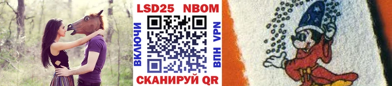 дарнет шоп  Томмот  это состав  Марки NBOMe 1,5мг 