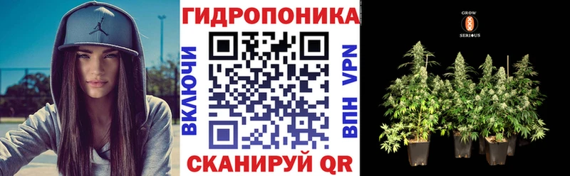 где продают   Томмот  Бошки Шишки тримм 